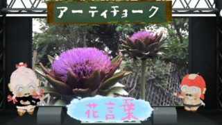 ホタルブクロの花言葉！色別や怖い由縁も徹底紹介！