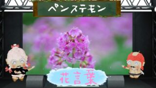 ホタルブクロの花言葉！色別や怖い由縁も徹底紹介！