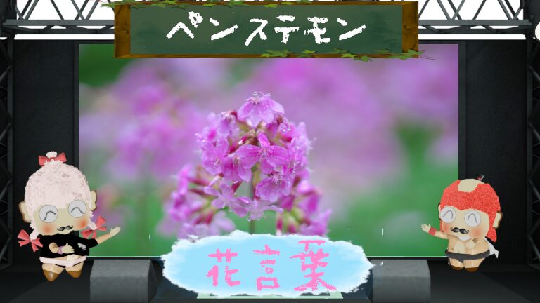 ペンステモンの花言葉!色別や怖いと言われる由来も分析