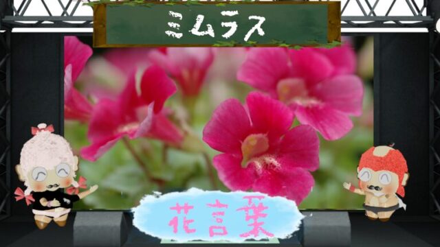 クサキョウチクトウの花言葉！由来や魅力に迫る！