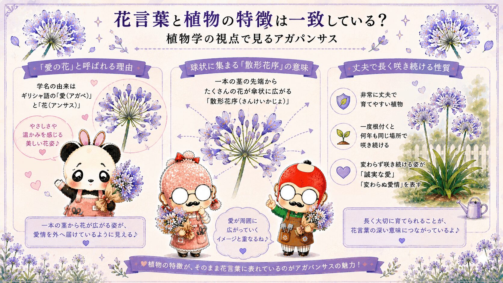 アガパンサスと植物学