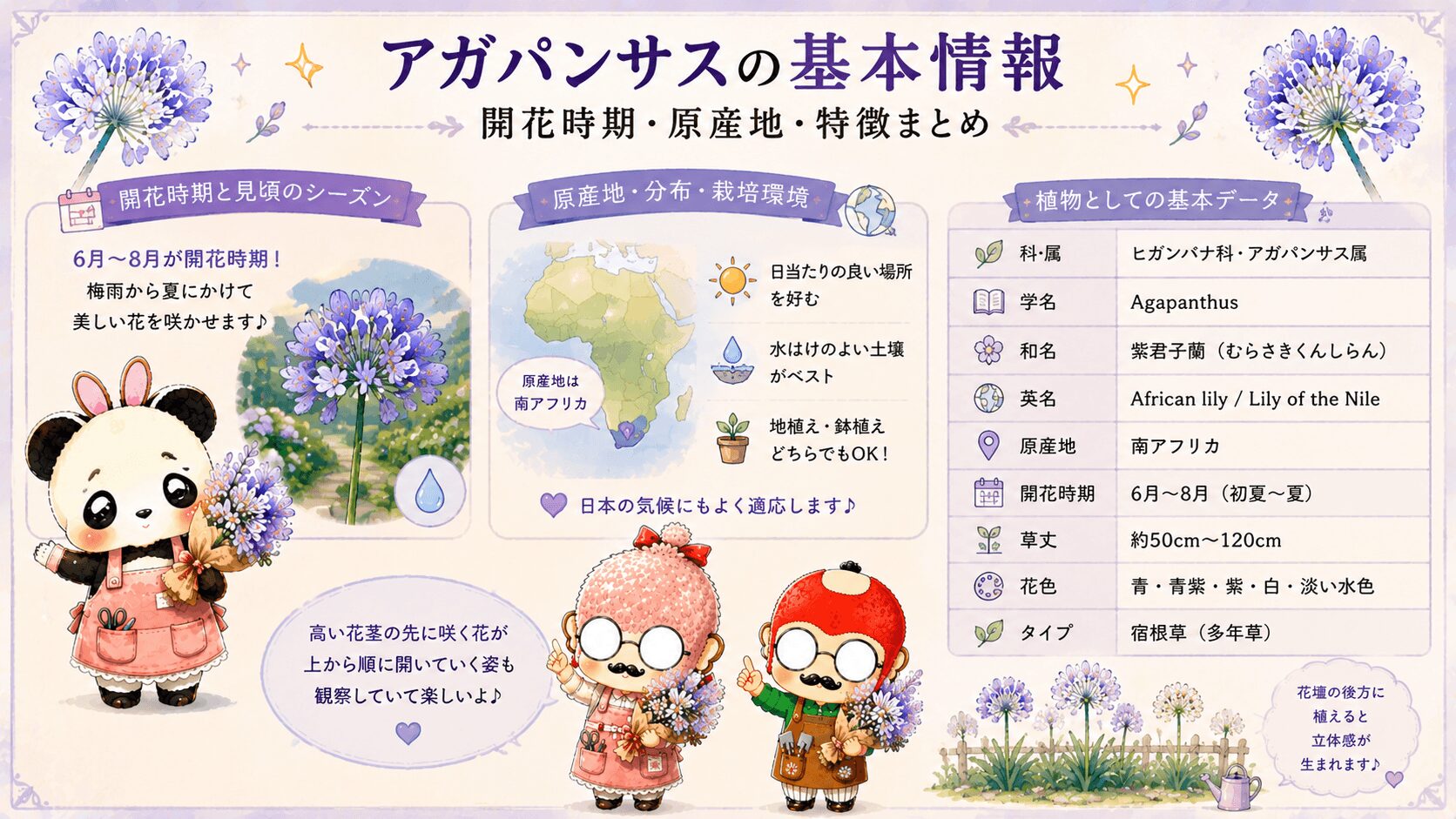 アガパンサスの基本情報