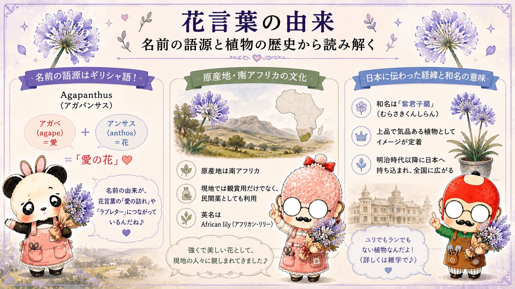 アガパンサスの花言葉の由来