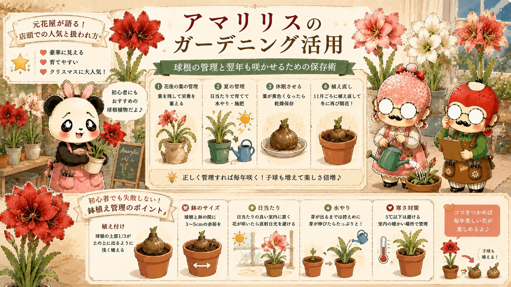 アマリリスのガーデニング活用