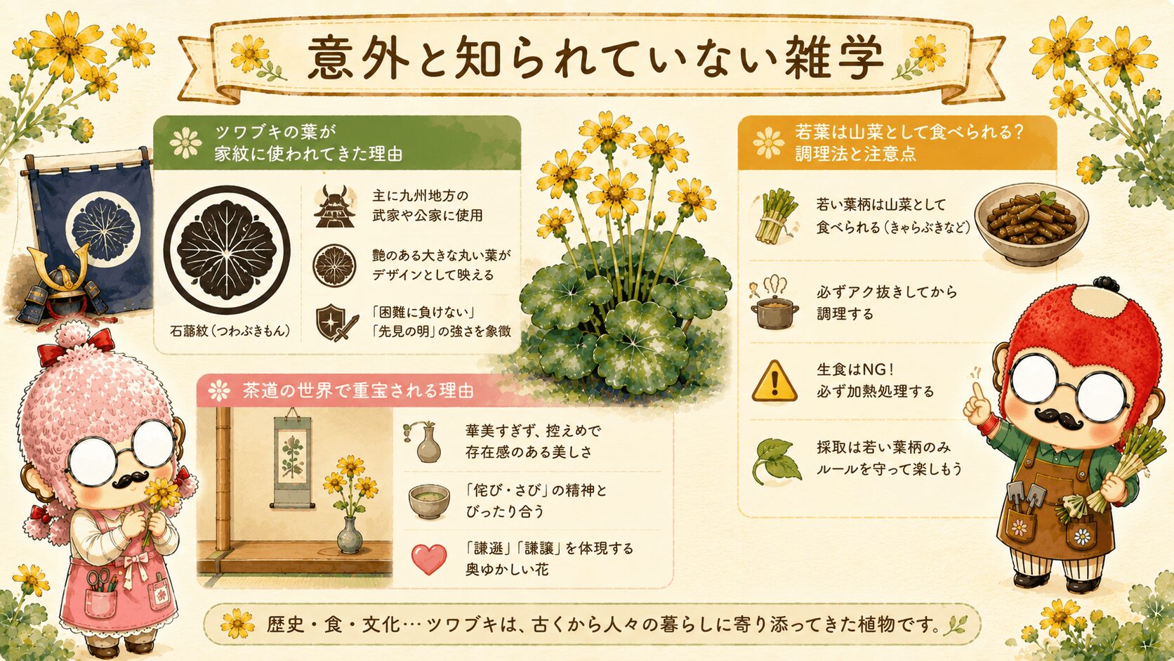 ツワブキの雑学