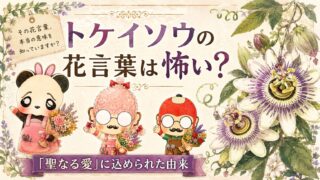 トケイソウの花言葉は怖い？「聖なる愛」に込められた由来