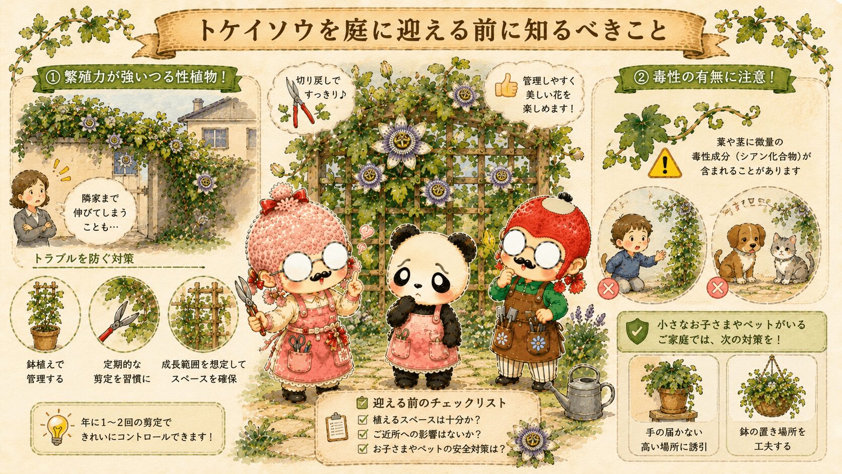 トケイソウを庭に迎えるとき