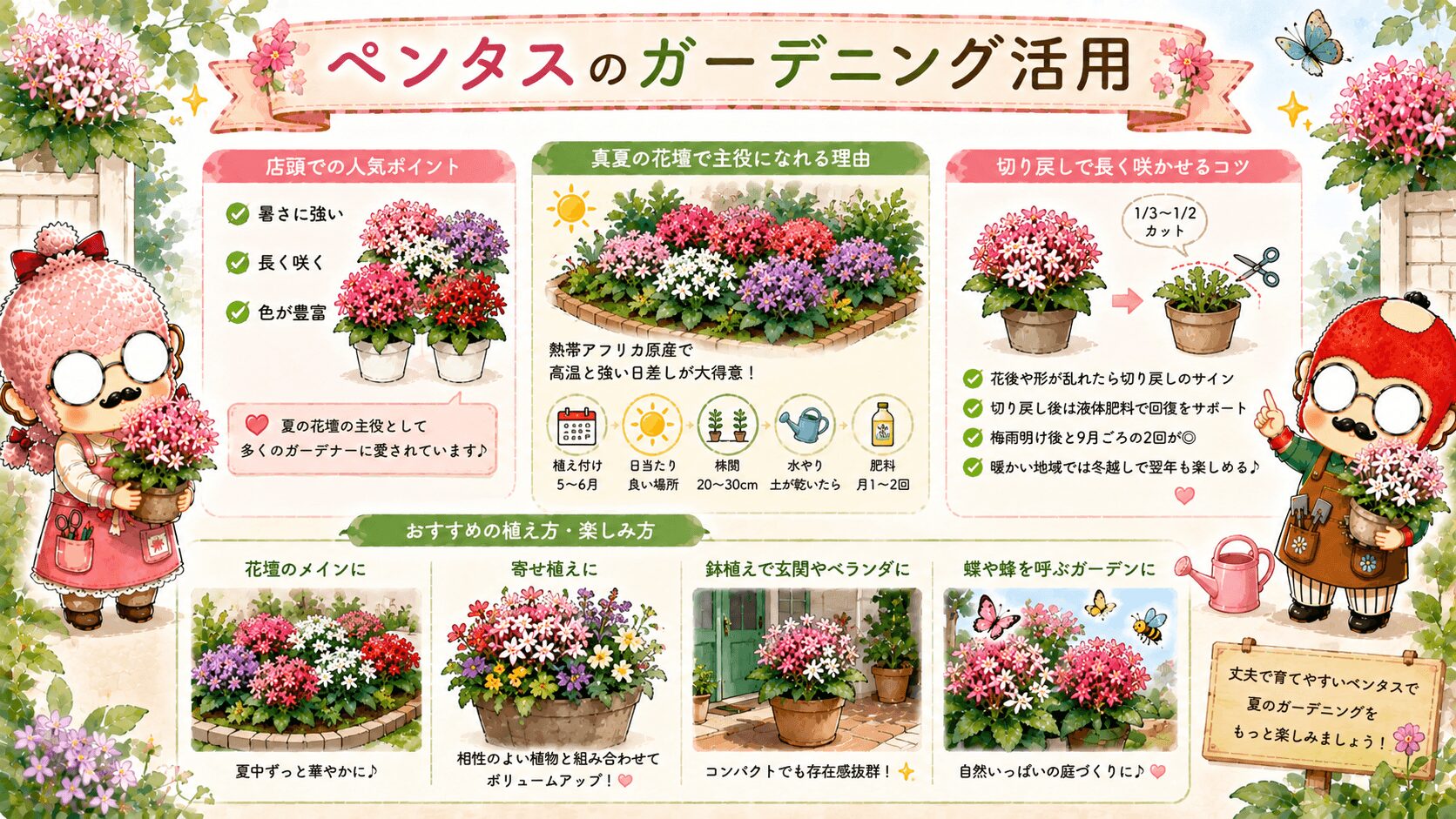 ペンタスのガーデニング活用