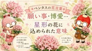 ペンタスの花言葉｜願い事・博愛…星形の花に込められた意味