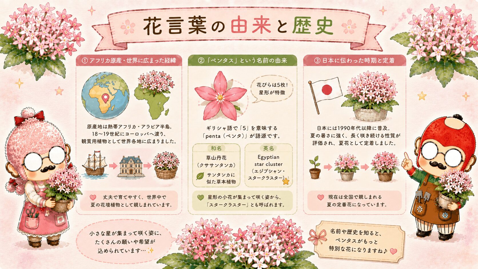 ペンタスの花言葉の由来
