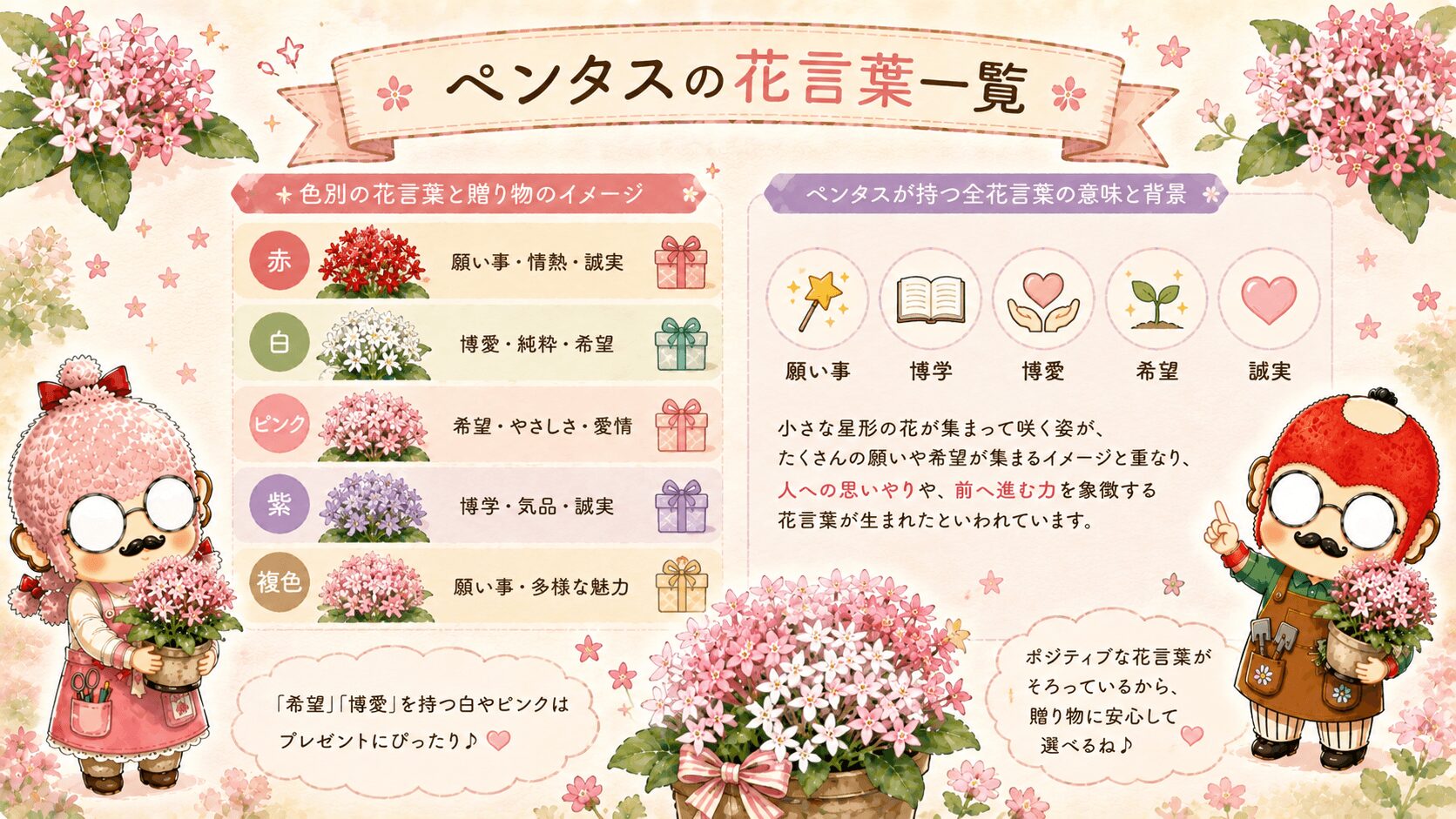 ペンタスの花言葉一覧