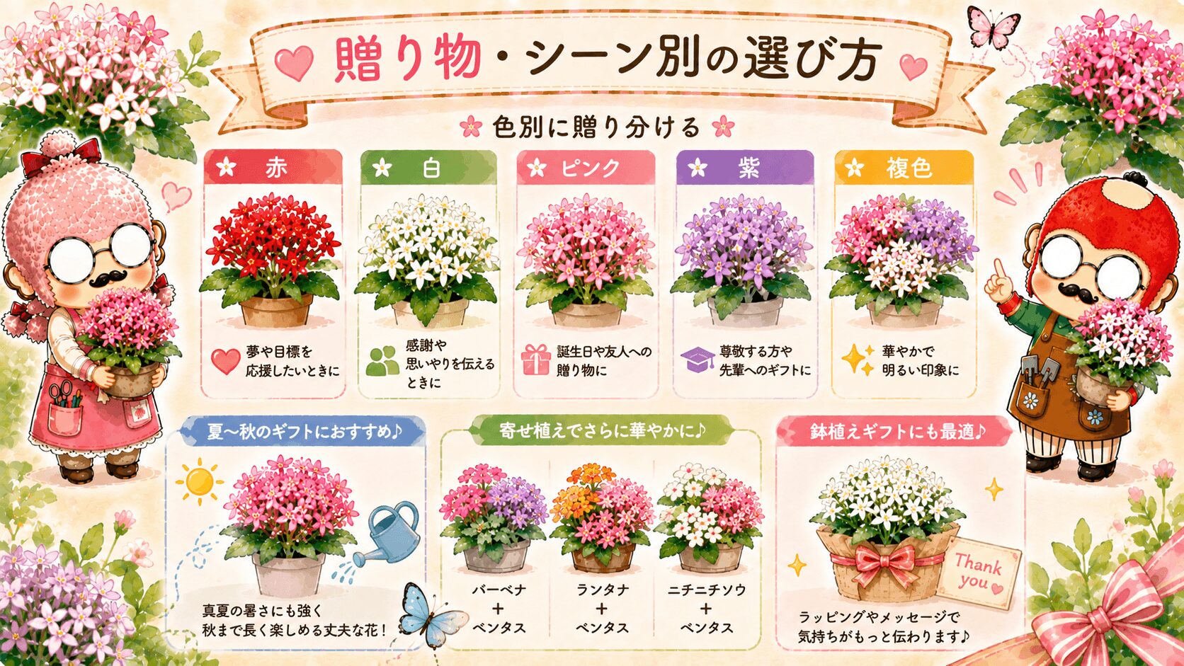 ペンタスの贈り方