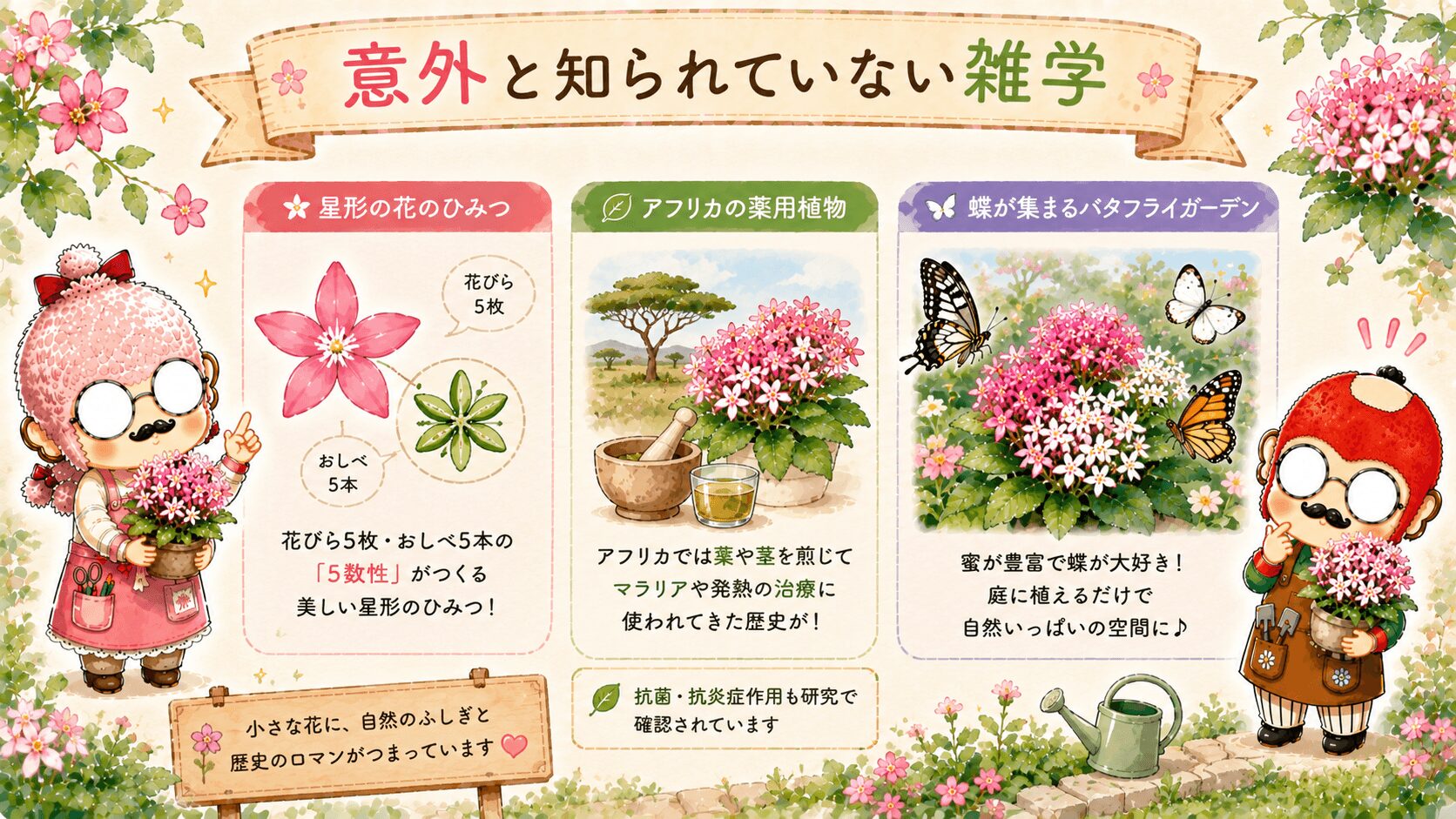 ペンタスの雑学
