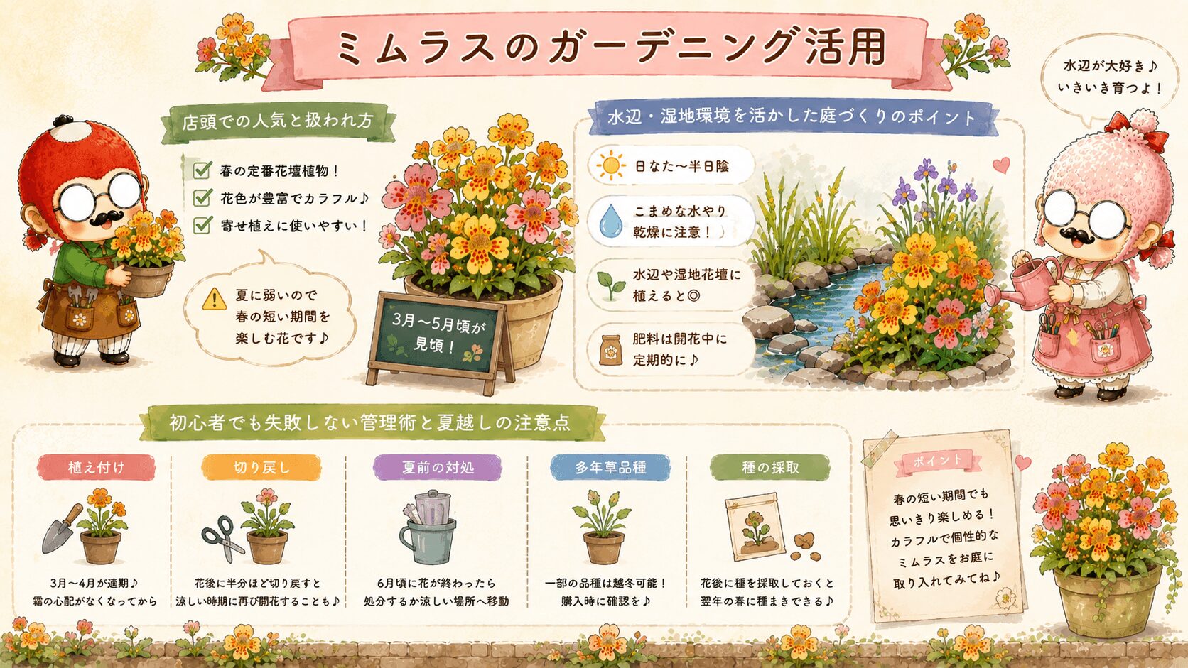 ミムラスのガーデニング活用