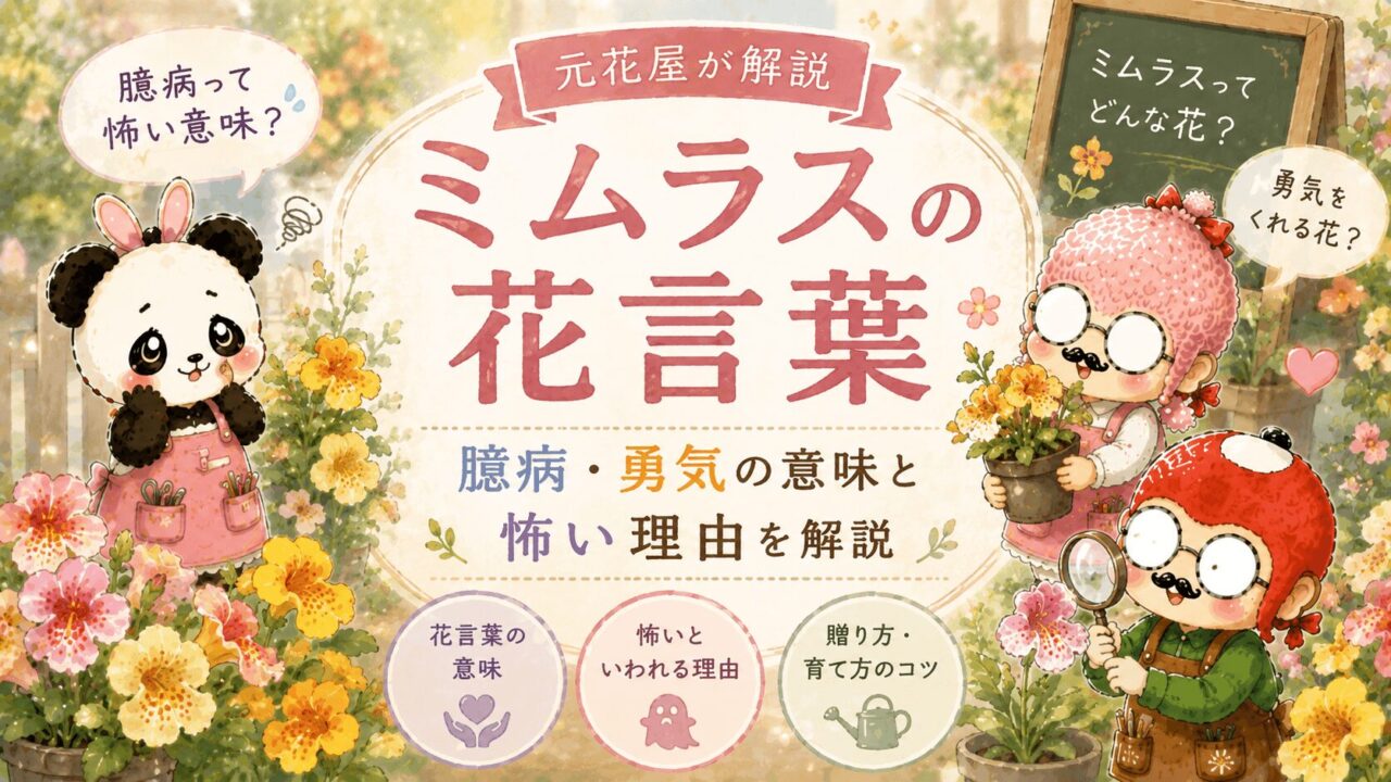 ミムラスの花言葉|臆病・勇気の意味と怖い理由を元花屋が解説