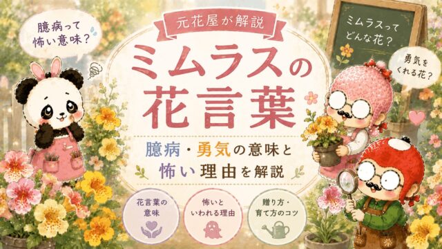 セキチクの花言葉はなぜ怖いのか？平安時代から続く花の秘密