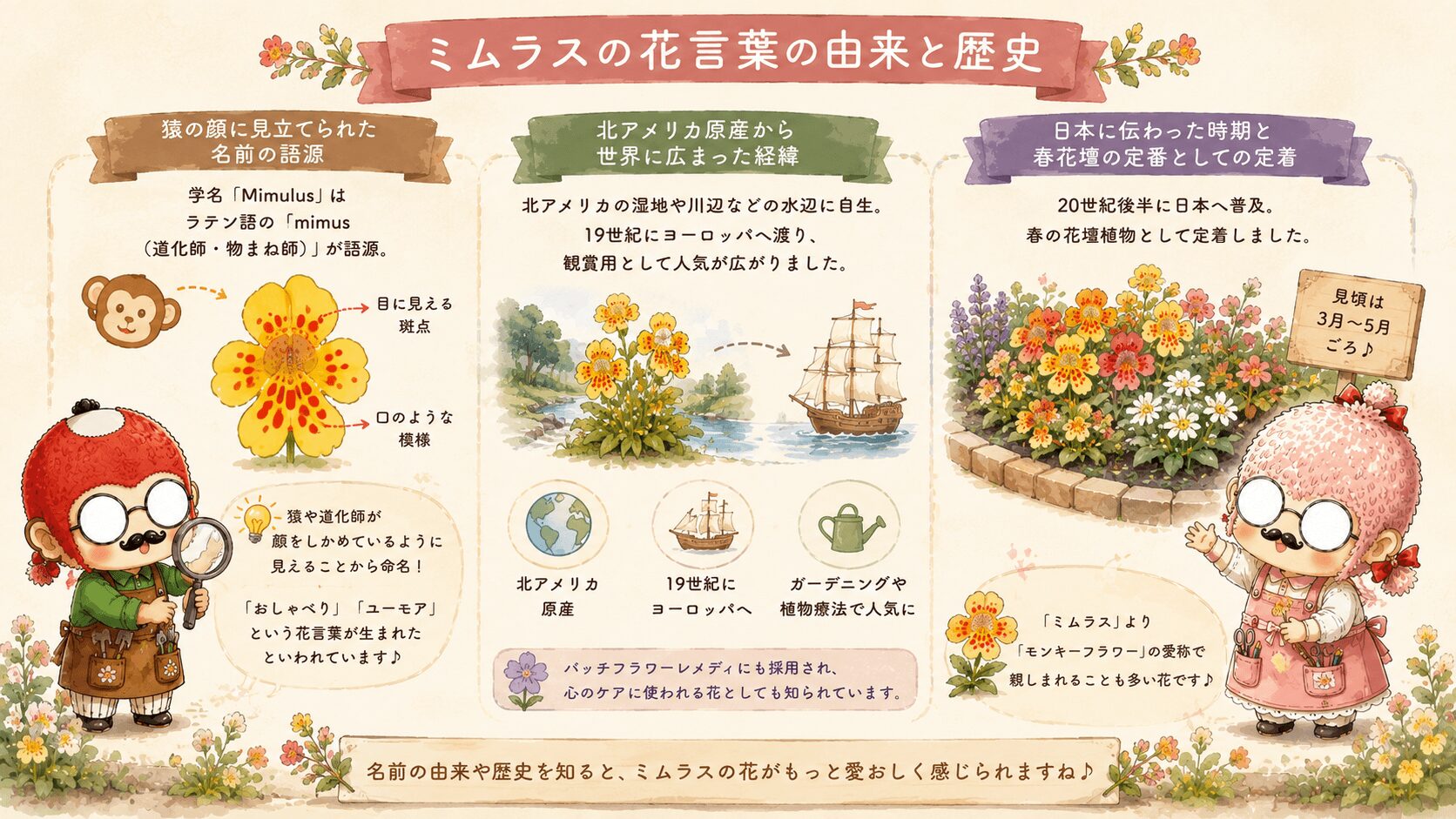 ミムラスの花言葉の由来
