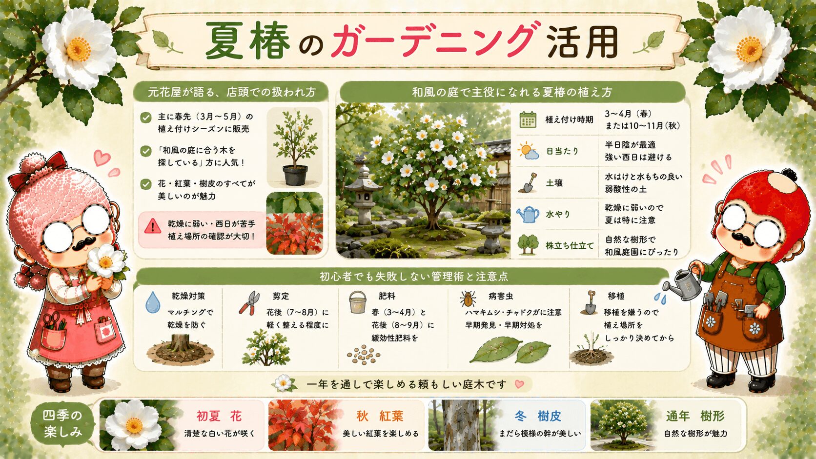 夏椿のガーデニング活用