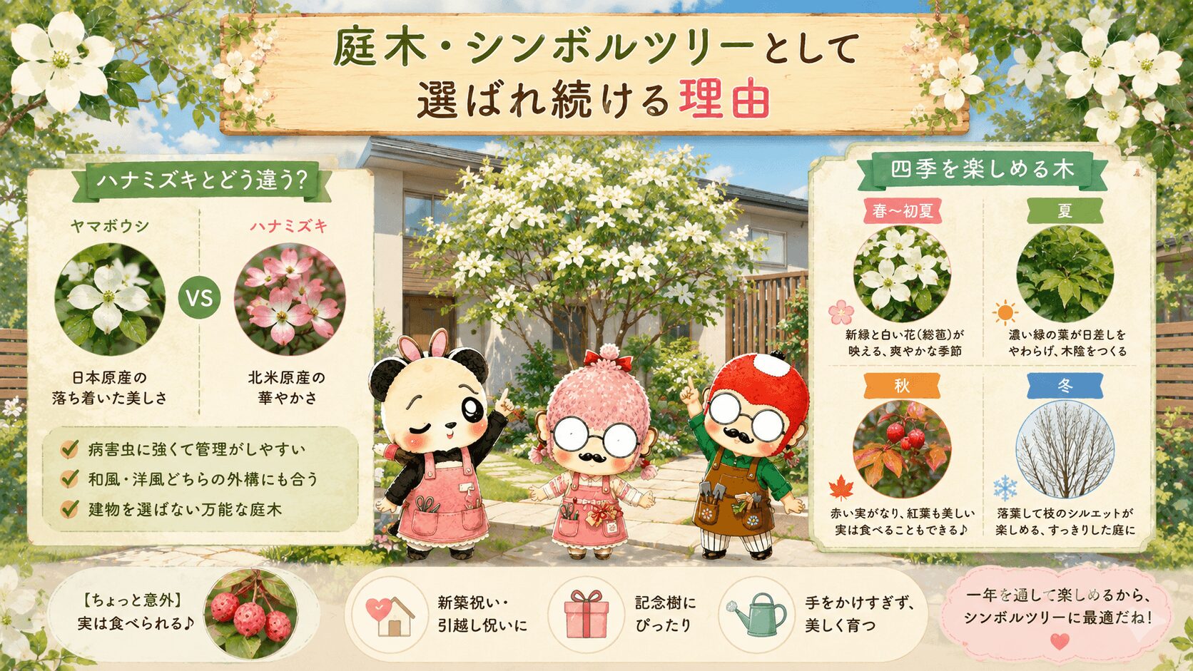 庭木・シンボルツリーとしてのヤマボウシ