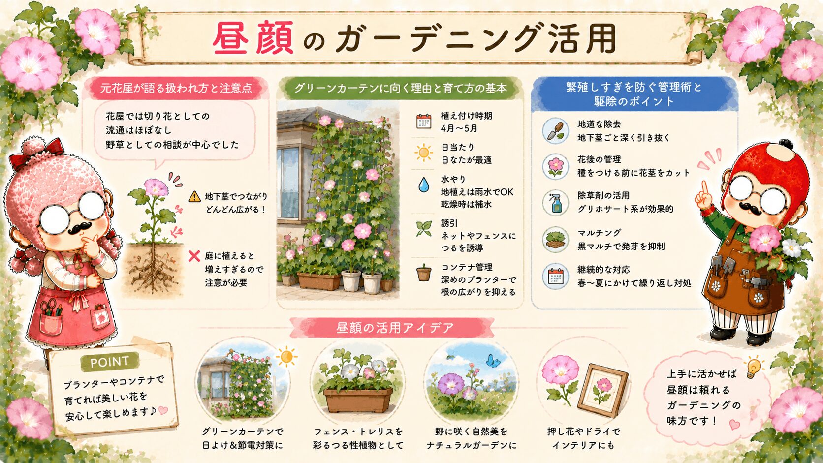 昼顔のガーデニング活用