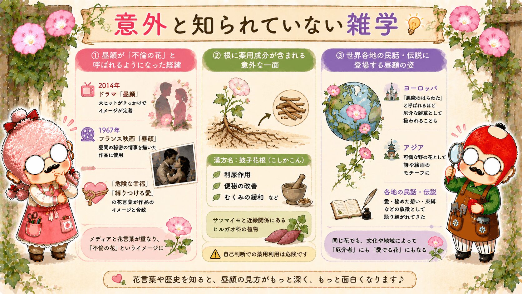 昼顔の不思議な歴史と文化