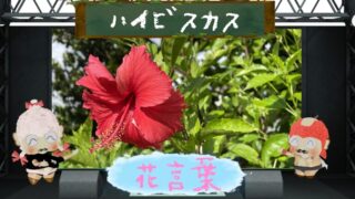 第２弾！LINEエフェクトスタンプ＆猿が演じる野球の名シーン！