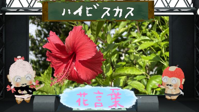 ハイビスカスの花言葉!由来&怖い&色別を徹底網羅!
