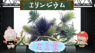 アラゲハンゴンソウの花言葉！北米のシンボルは怖いの？