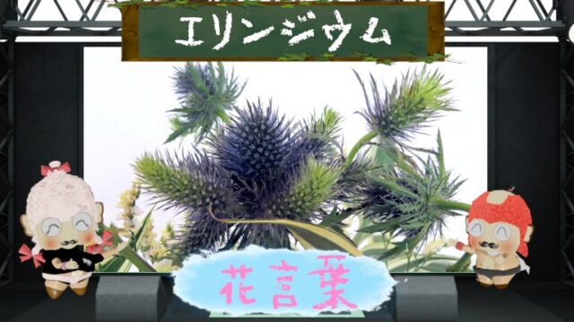 エリンジウムの花言葉！色別＆怖い理由＆海のホタテを大解剖