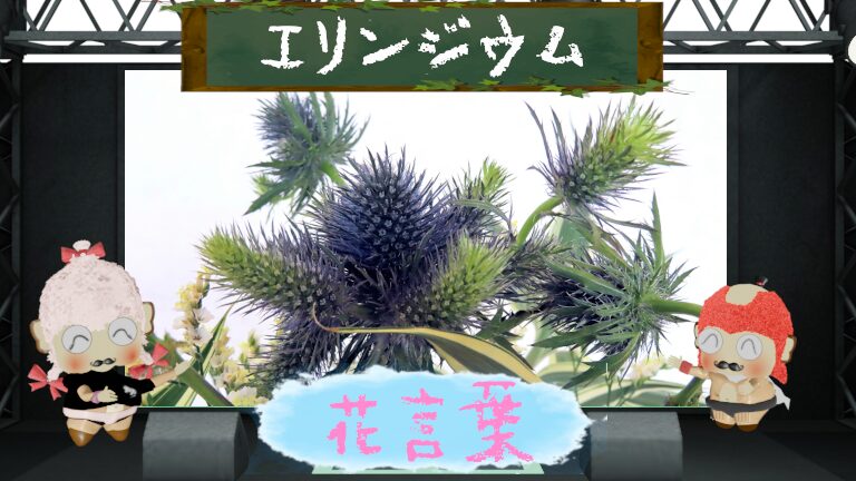 エリンジウムの花言葉!色別&怖い理由&海のホタテを大解剖
