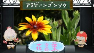 エリンジウムの花言葉！色別＆怖い理由＆海のホタテを大解剖