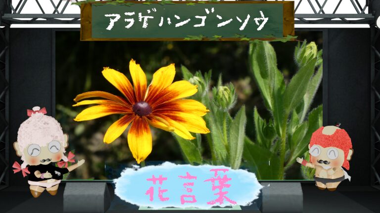 アラゲハンゴンソウの花言葉！北米のシンボルは怖いの？