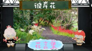 アラゲハンゴンソウの花言葉！北米のシンボルは怖いの？