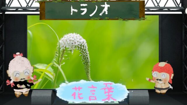 ネムノキの花言葉！由来や怖い理由から毒性の注意点まで！