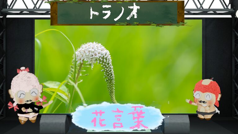 トラノオの花言葉!怖い由来は無し&名前の由来は?尻尾?