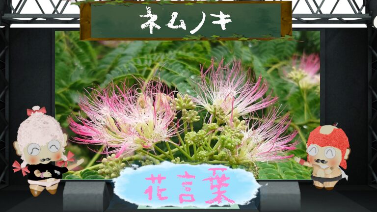 ネムノキの花言葉!由来や怖い理由から毒性の注意点まで!