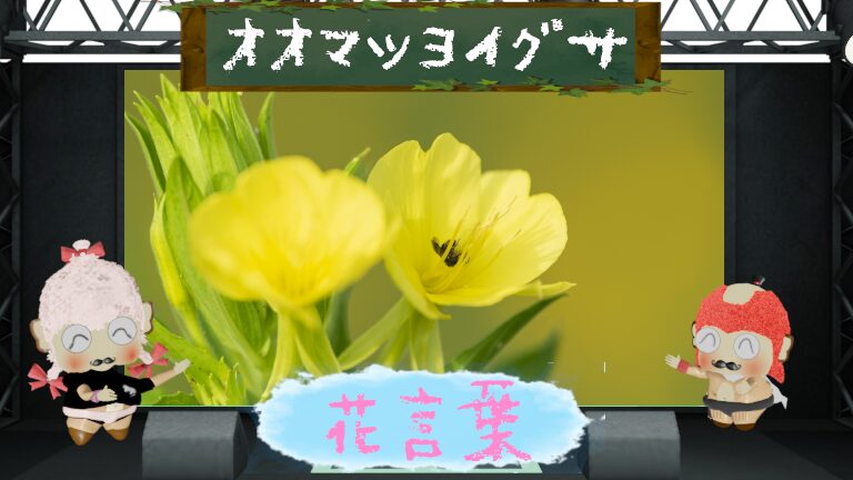 オオマツヨイグサの花言葉!怖い由来&宵に咲く花の特徴を網羅