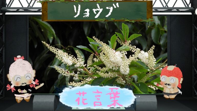 リョウブの花言葉とは？怖い理由＆飢饉の時は食べられてた？