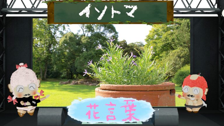 イソトマの花言葉!怖い理由&毒性に対する注意点