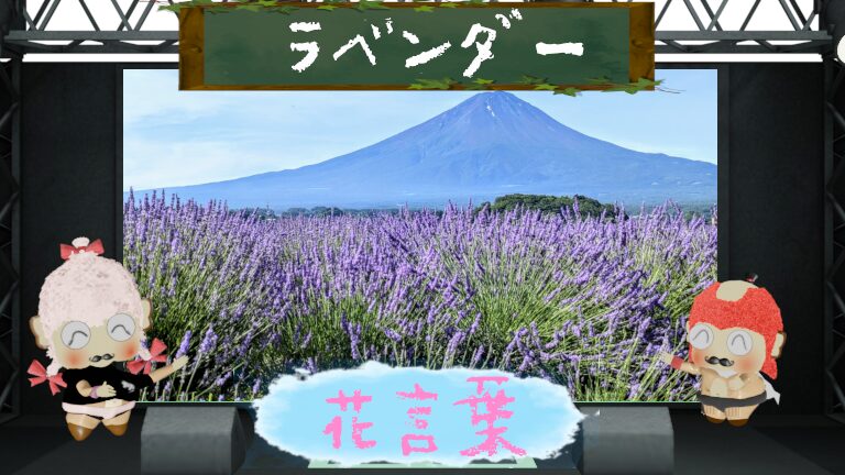 ラベンダーの花言葉!色別&由来&本数別&怖いなどテンコ盛り!