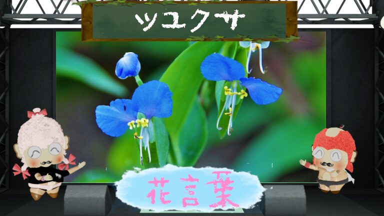 ツユクサの花言葉!色別&怖い理由~1日草の儚さを分析!