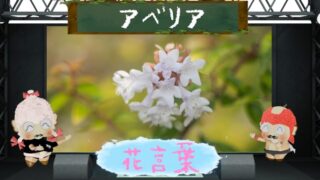 アベリアの花言葉って怖い！？昆虫に人気の花を大調査！