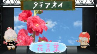 タチアオイの花言葉！色別から怖い理由＆梅雨明けの伝統まで！