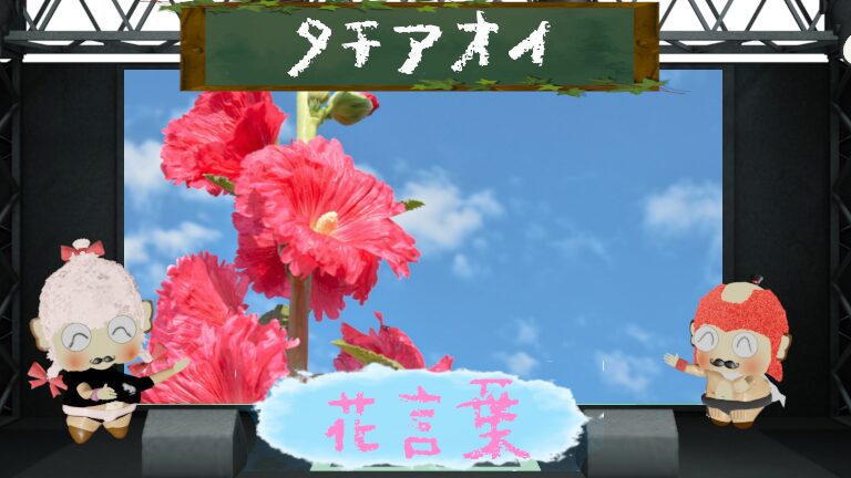 タチアオイの花言葉!色別から怖い理由&梅雨明けの伝統まで!