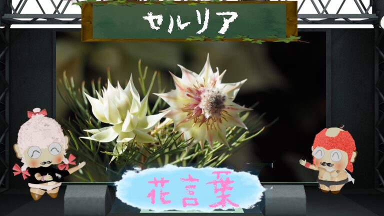 セルリアの花言葉!怖い理由&実は絶滅しかけた品種だった?