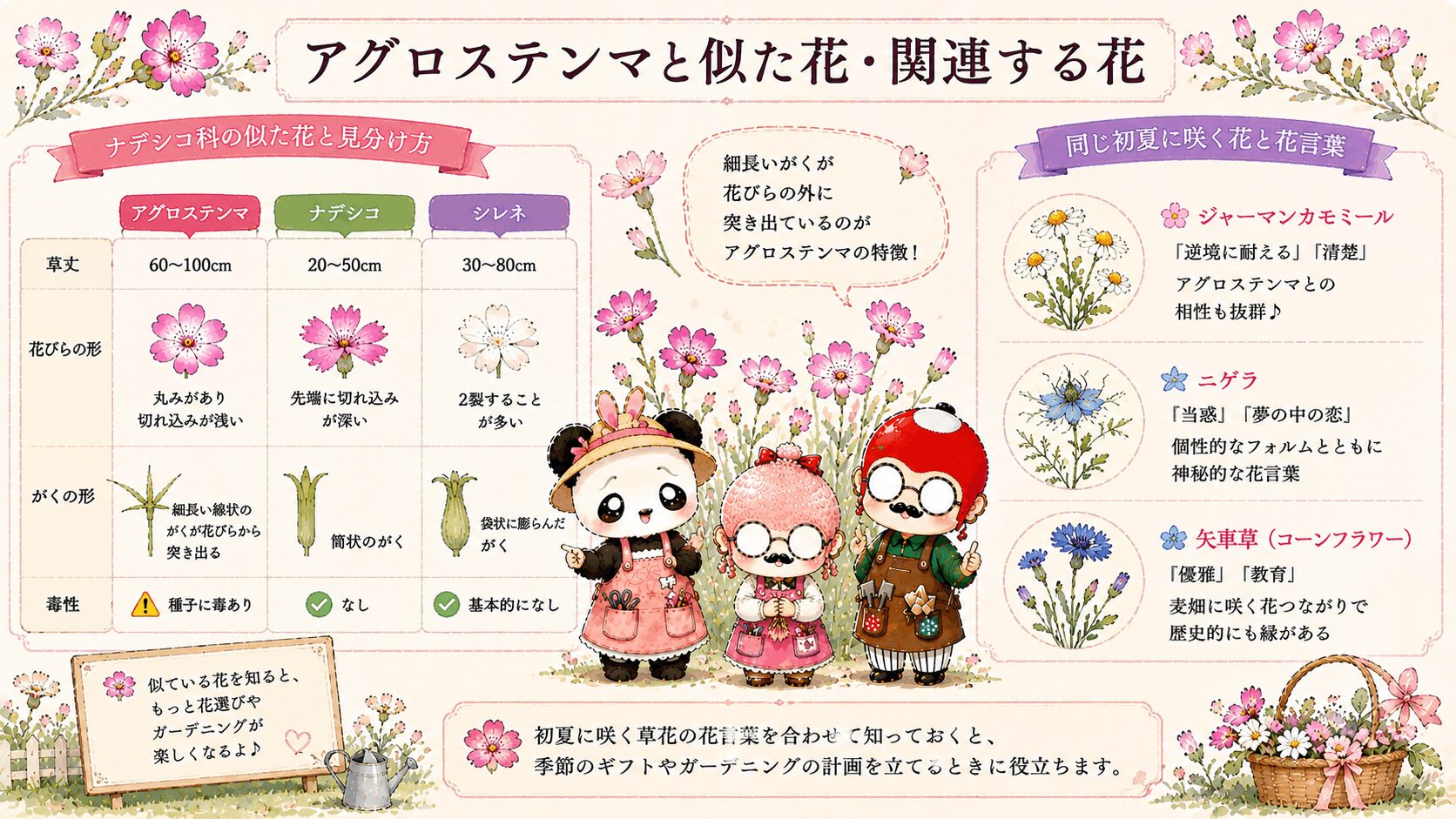 アグロステンマと似た花ガイド