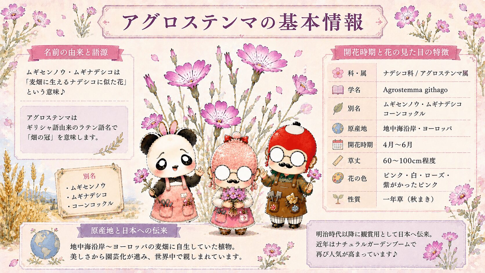 アグロステンマの基本情報