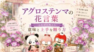 アグロステンマの花言葉｜元花屋が教える意味と上手な贈り方