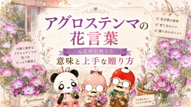 アグロステンマの花言葉｜元花屋が教える意味と上手な贈り方