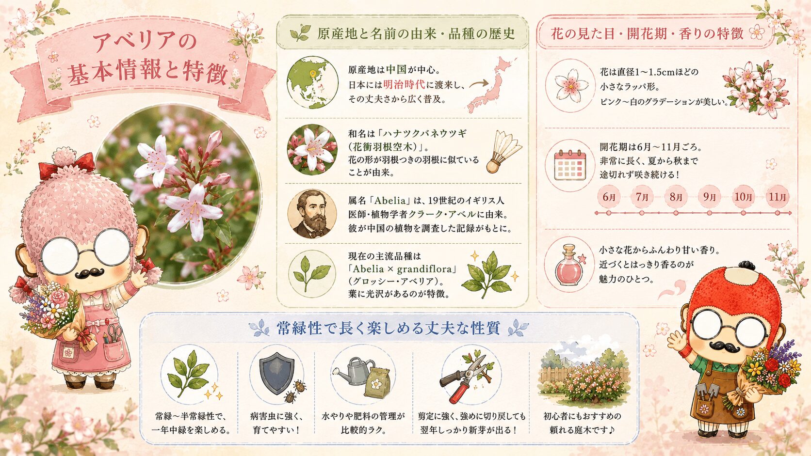 アベリアの基本情報